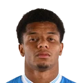 内雷斯